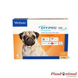 Effipro Duo perros pequeños 4 Pipetas Virbac