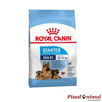 ROYAL CANIN MAXI STARTER Pienso para Cachorros de Raza Grande (Hasta 2 Meses) y Madres Gestantes