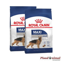 ROYAL CANIN MAXI ADULT Pienso para Perros de Raza Grande Pack de 2 unidades