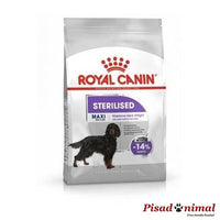 ROYAL CANIN Maxi Sterilised Pienso para Perros Adultos Grandes Esterilizados