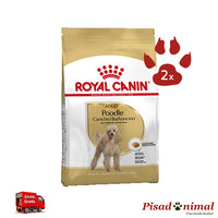 ROYAL CANIN POODLE ADULT Pienso para Perros Adultos de Raza Caniche Pack 2 unidades